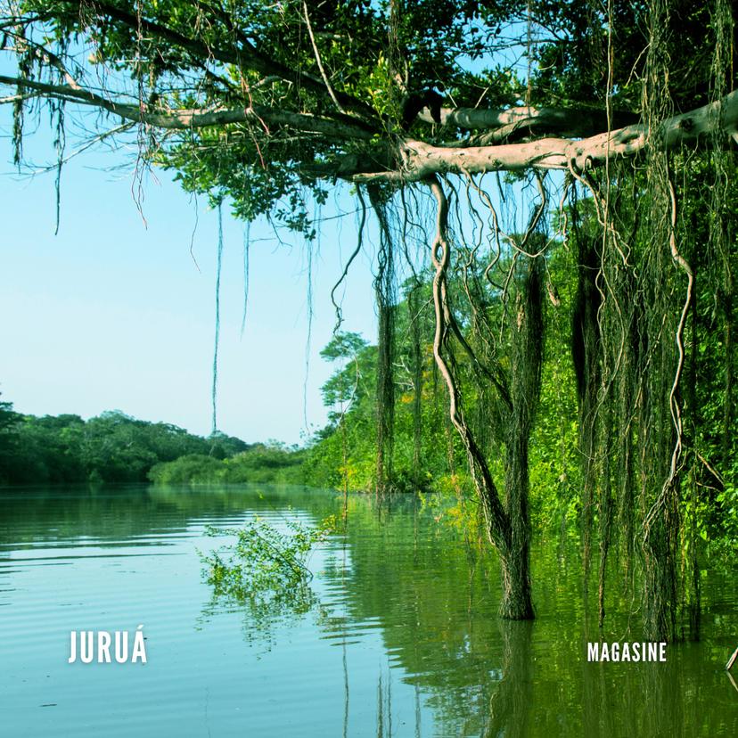 release-cover