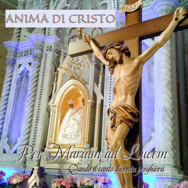release-cover