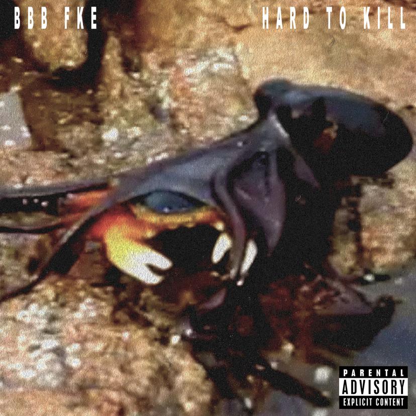 release-cover