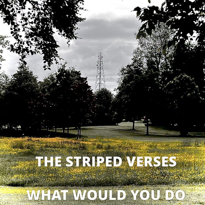 release-cover