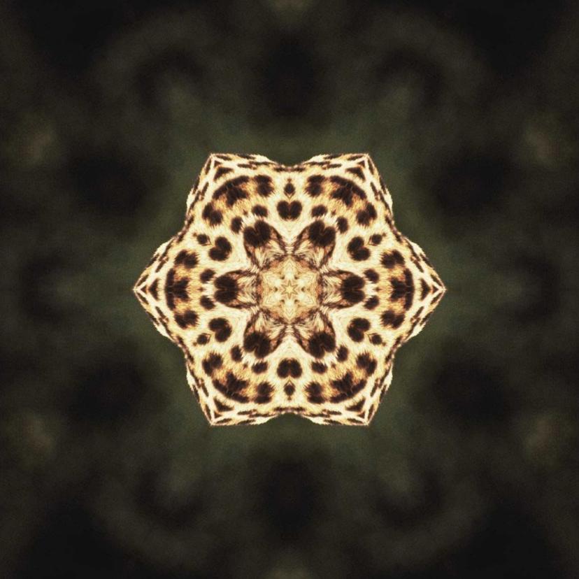 release-cover