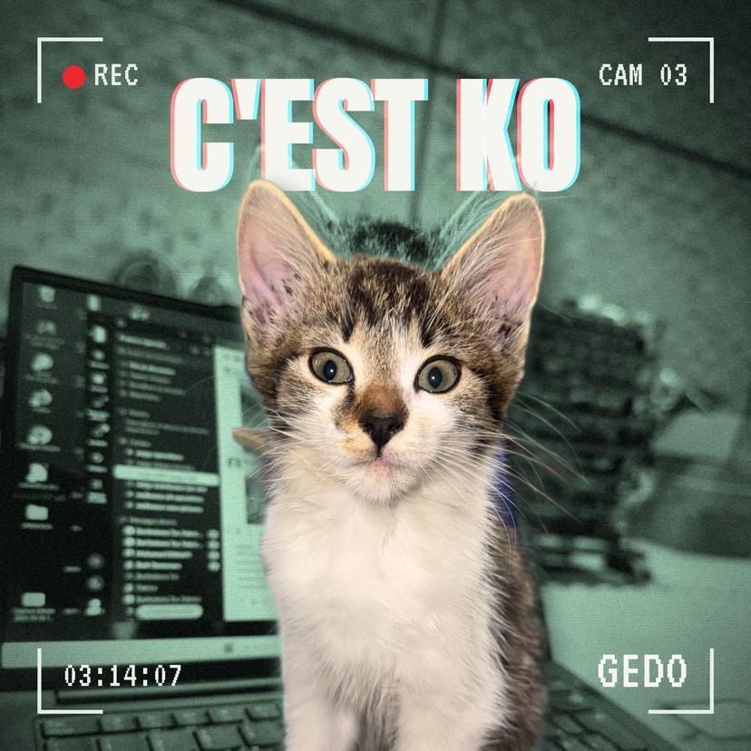 release-cover