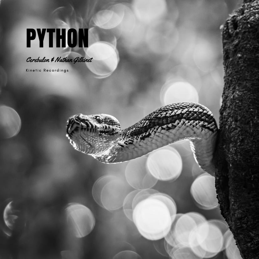 release-cover