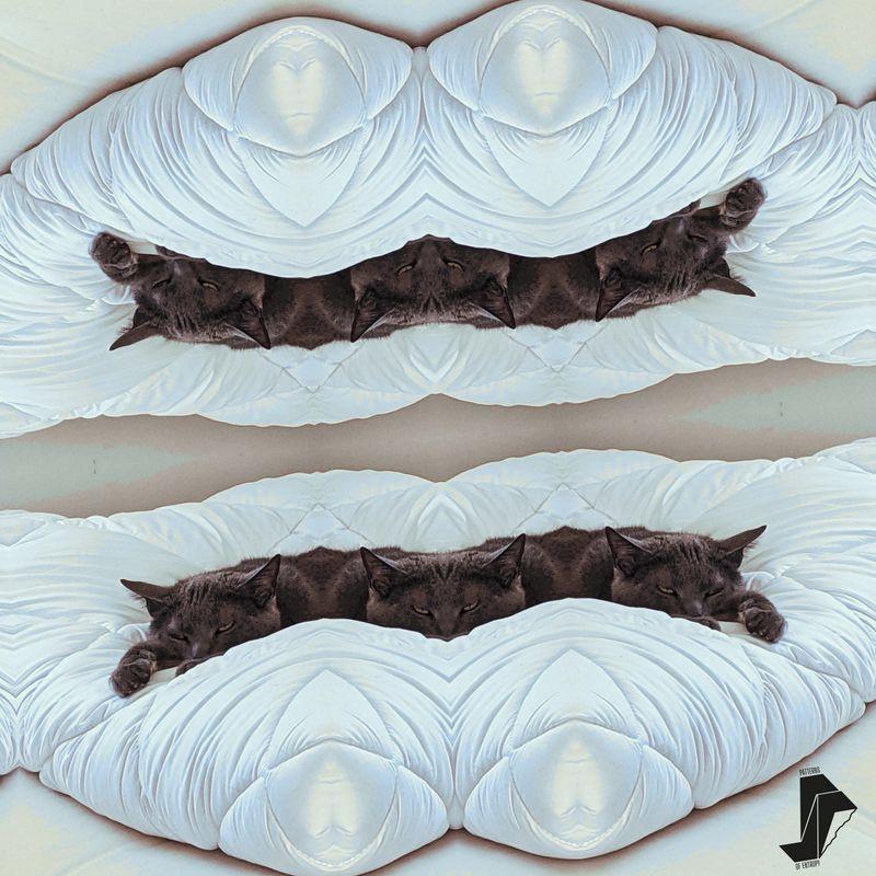 release-cover