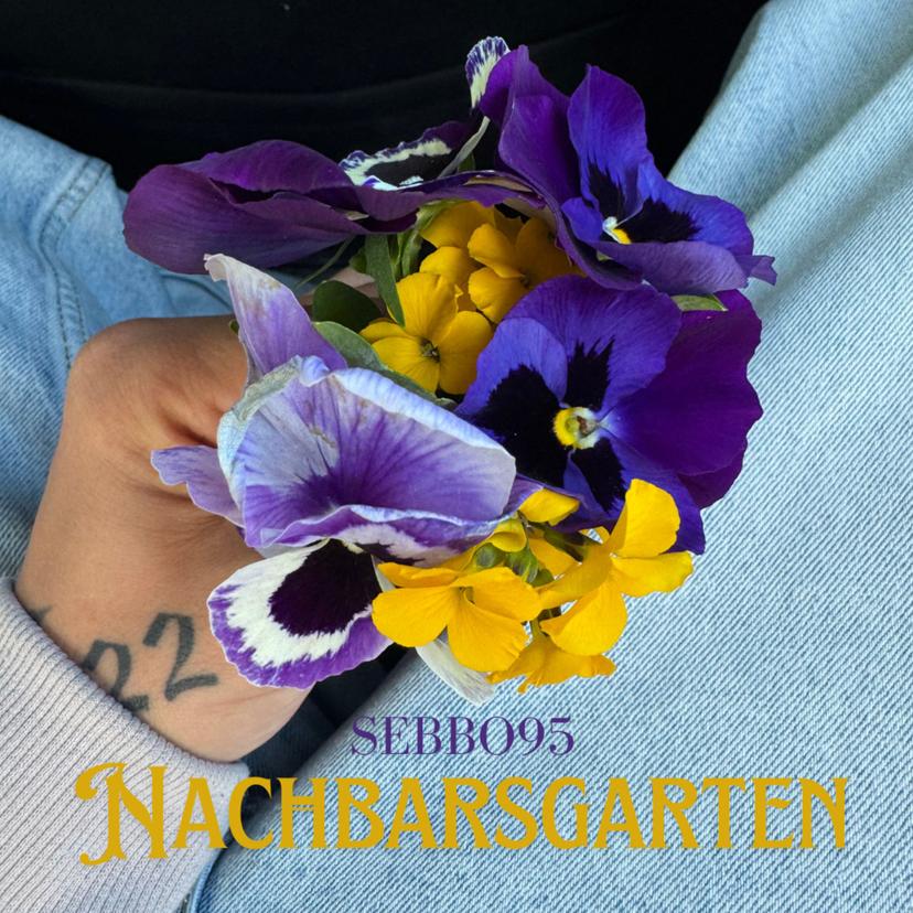 release-cover