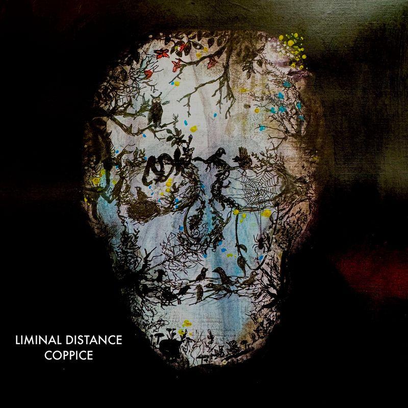 release-cover