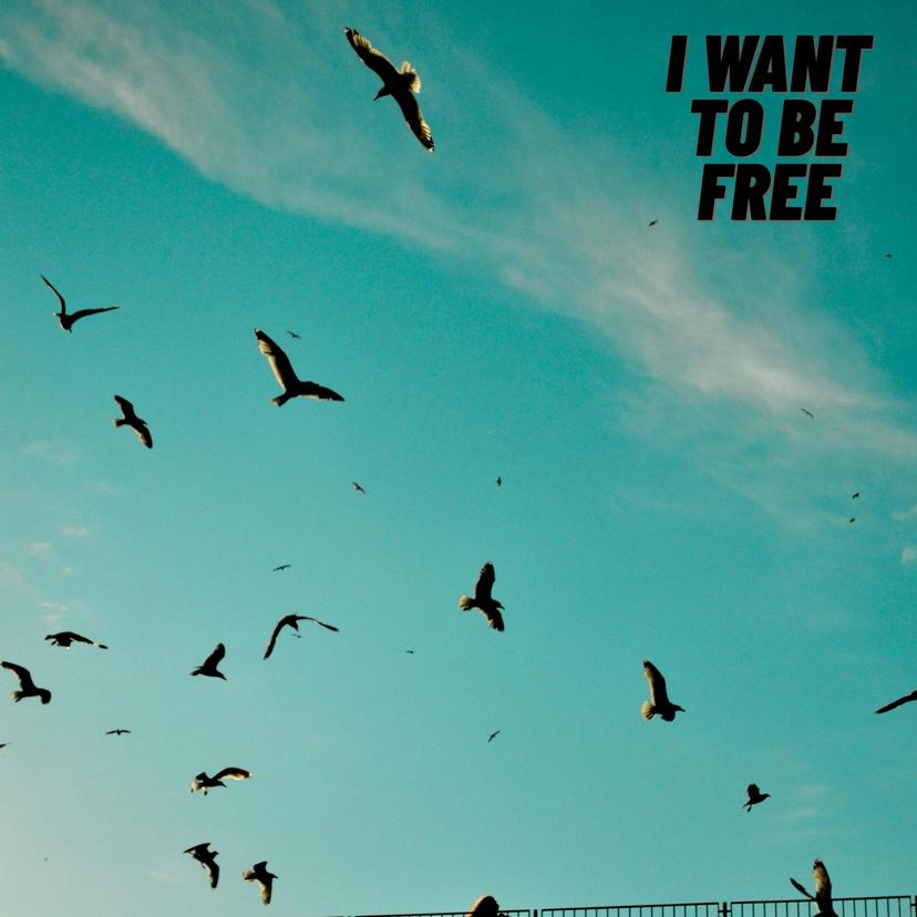 release-cover