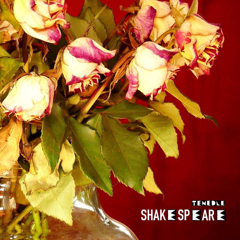 release-cover
