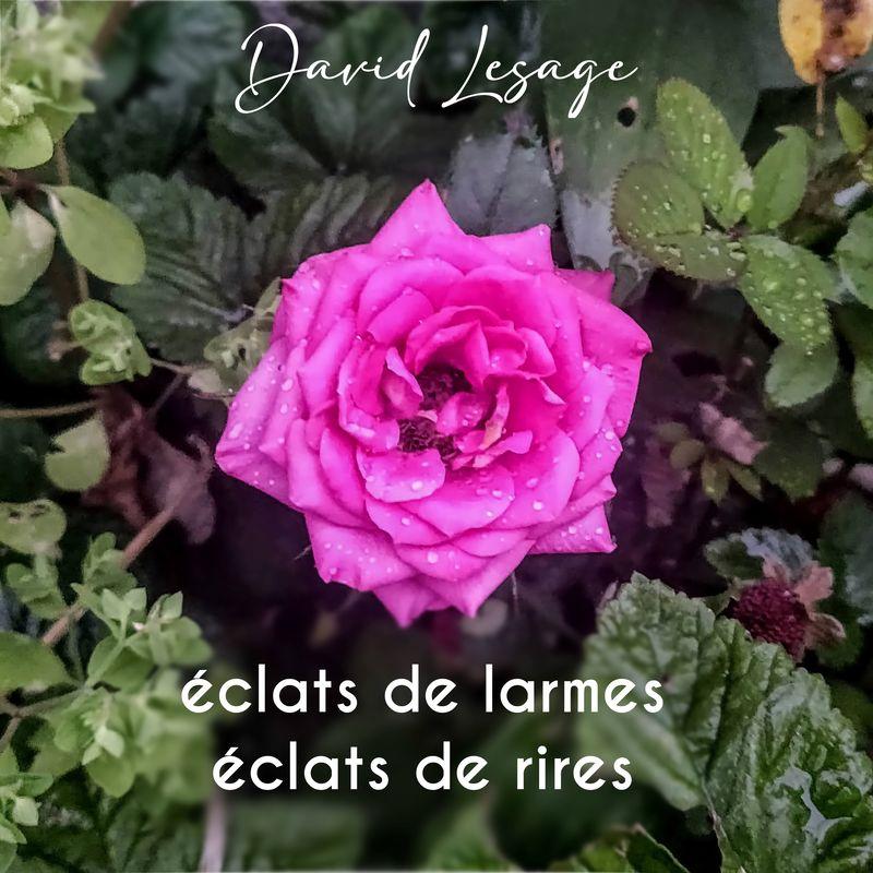 release-cover