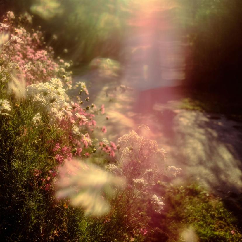 release-cover