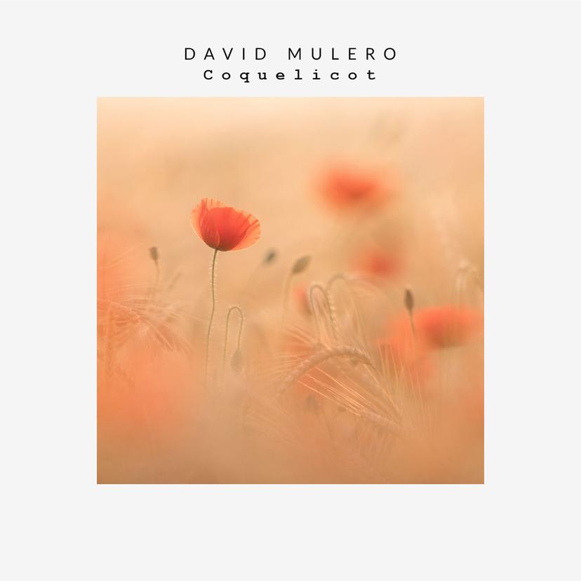 release-cover