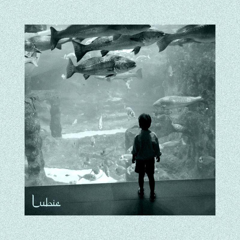 release-cover
