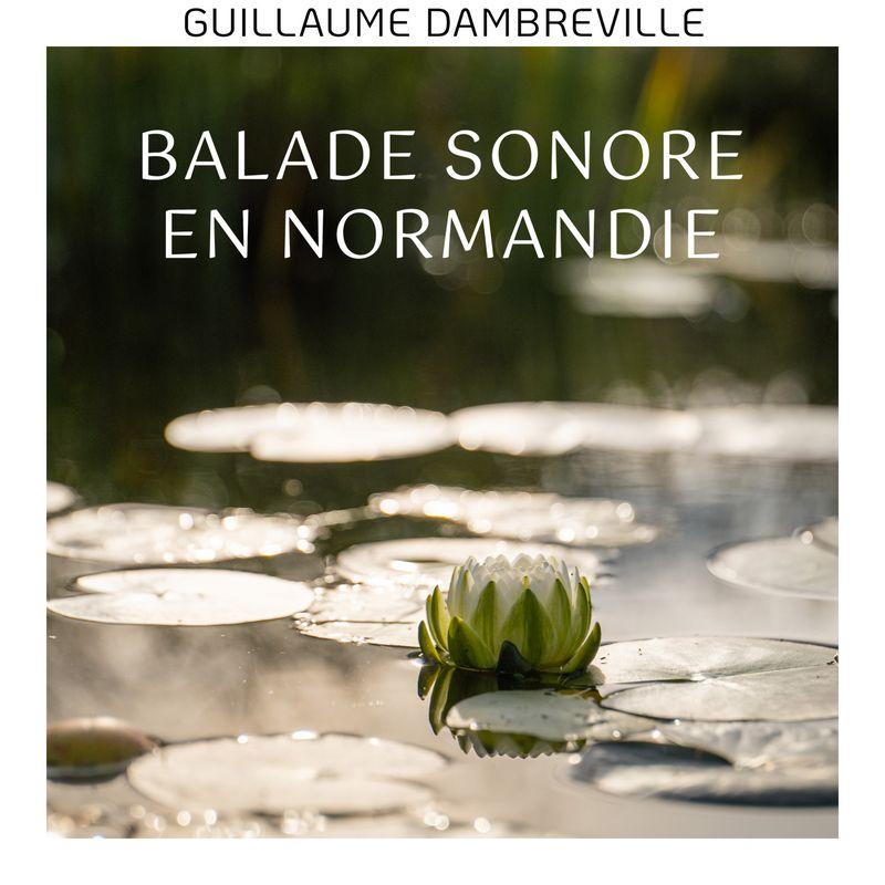 release-cover