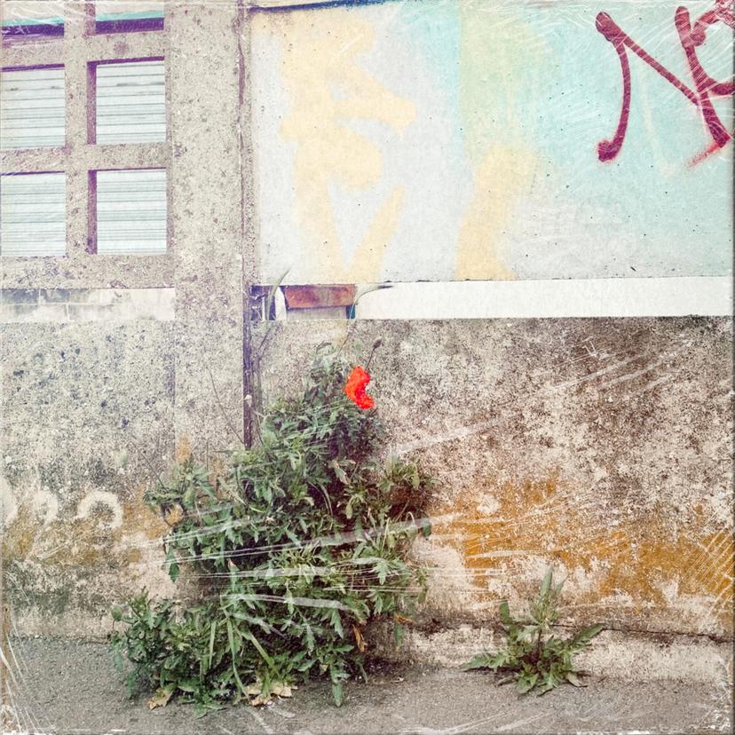 release-cover