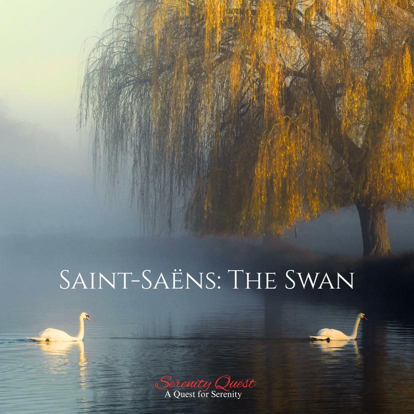 release-cover