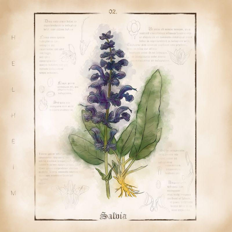 release-cover