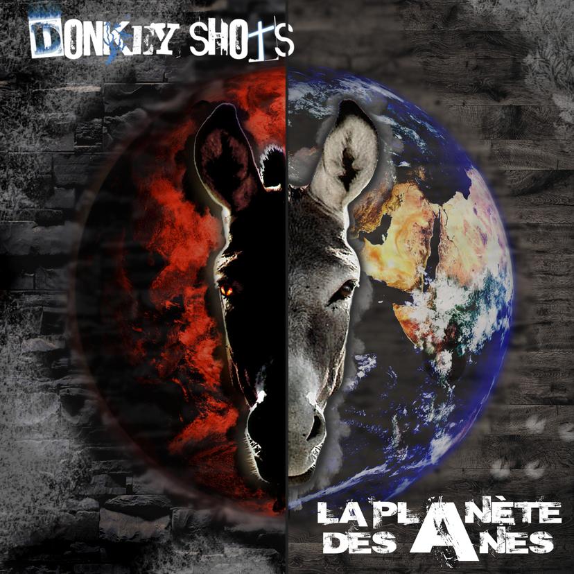 release-cover
