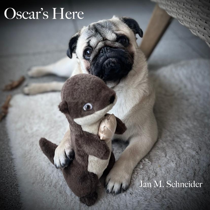 release-cover