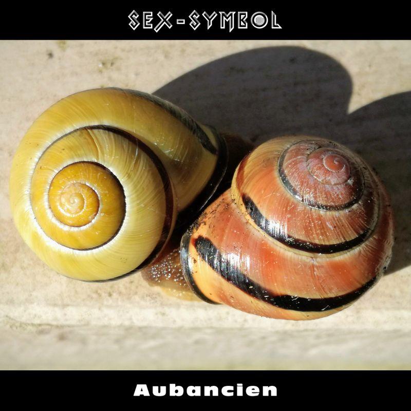 release-cover