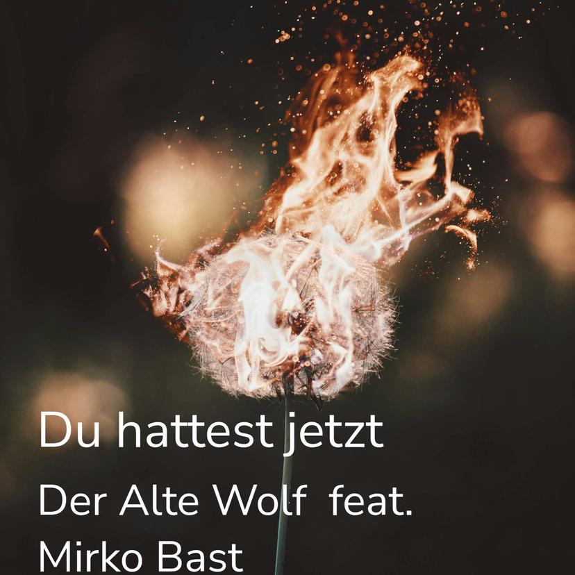 release-cover