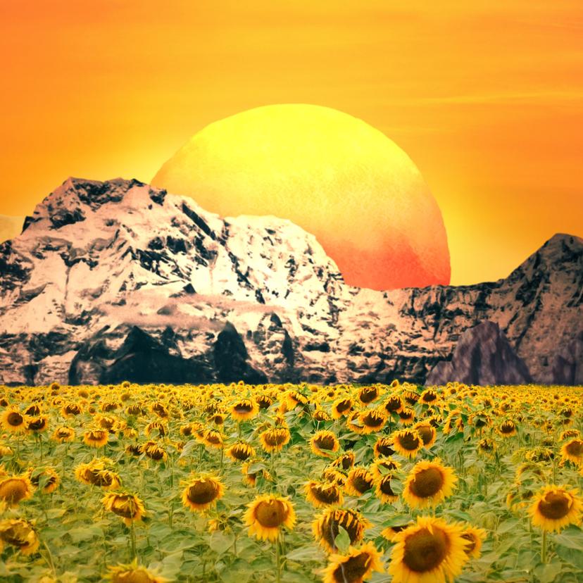 release-cover