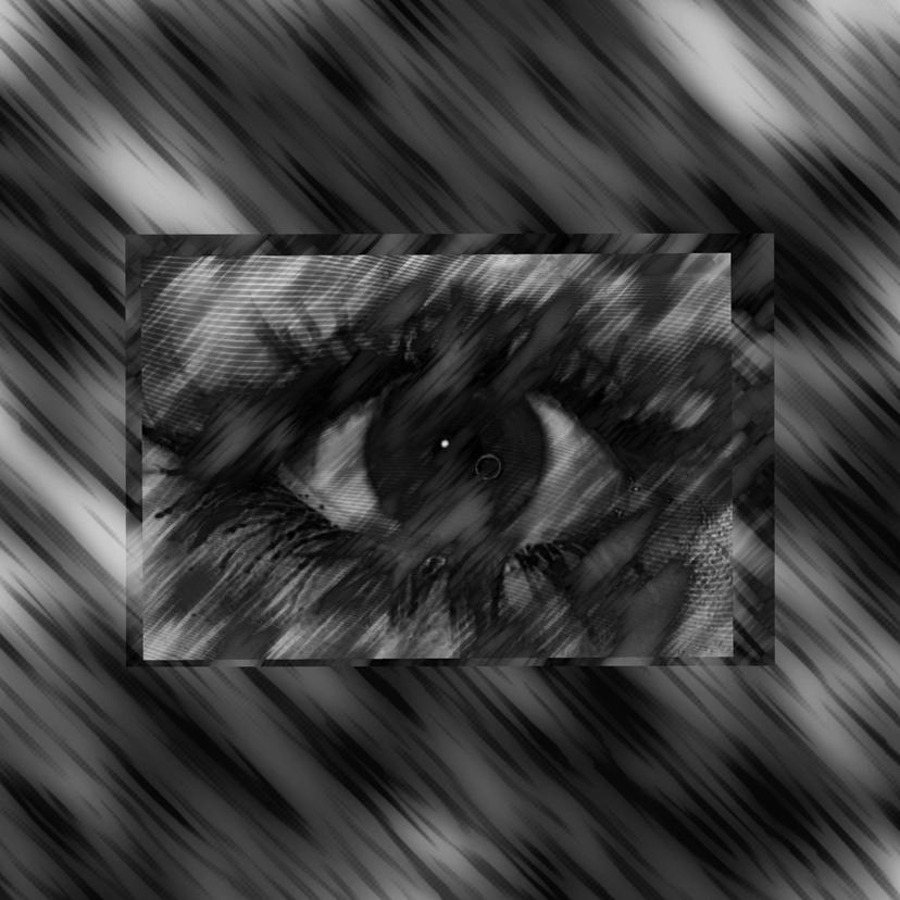 release-cover