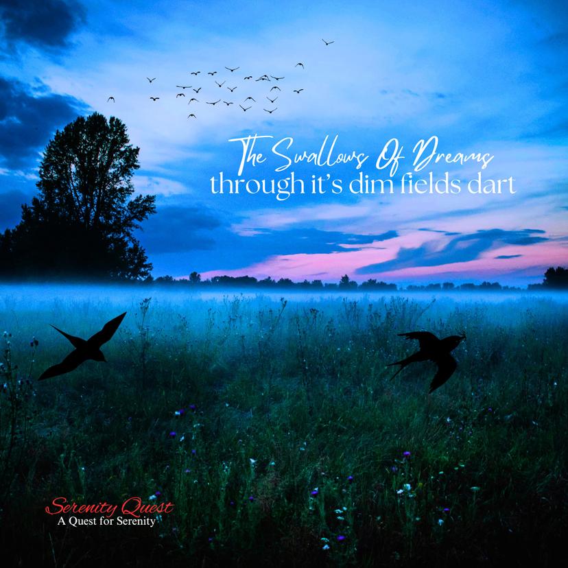 release-cover