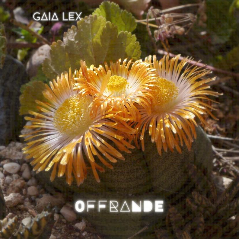 release-cover