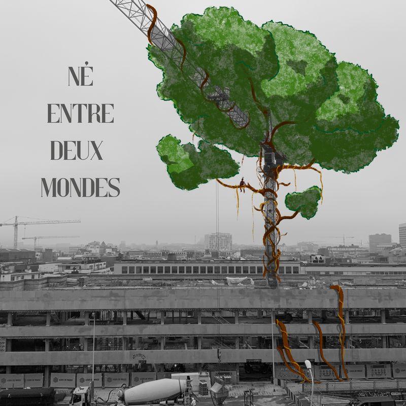 release-cover