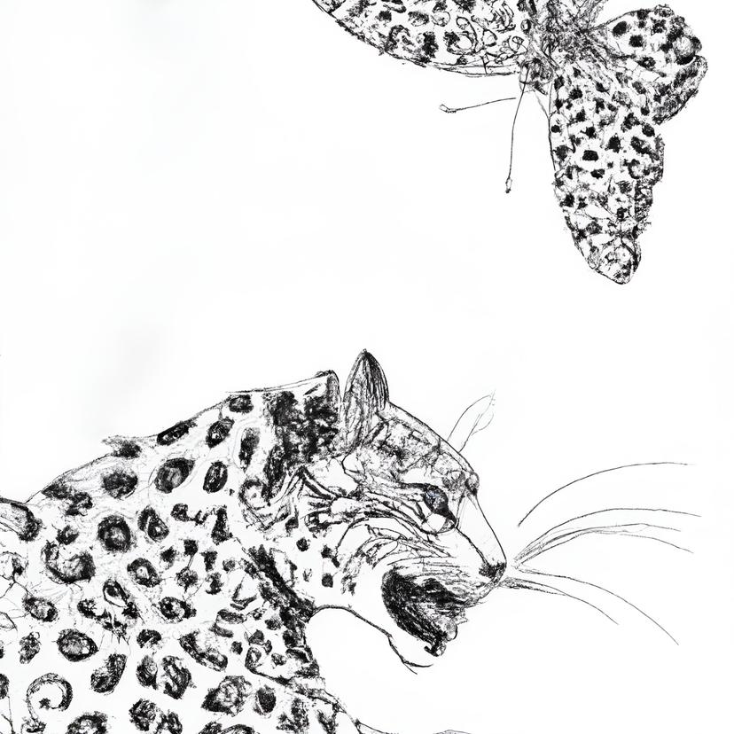 release-cover