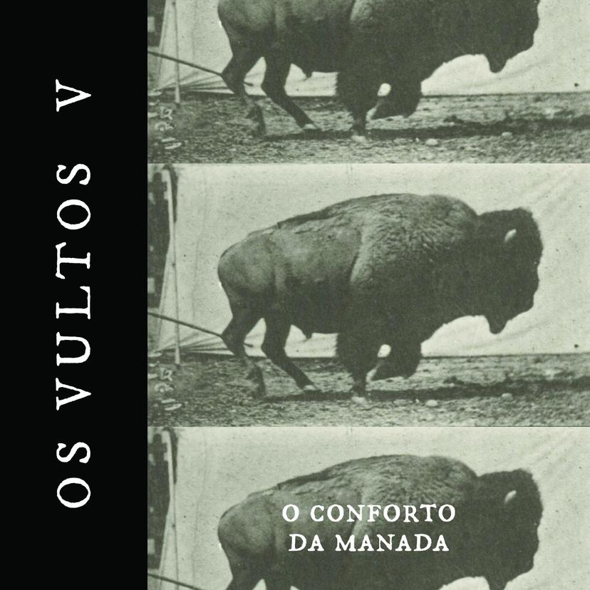 release-cover