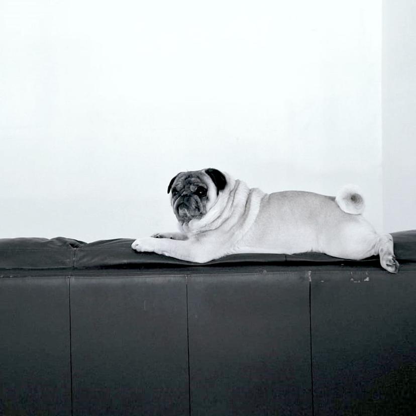 release-cover