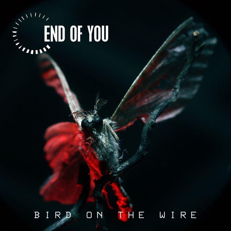 release-cover