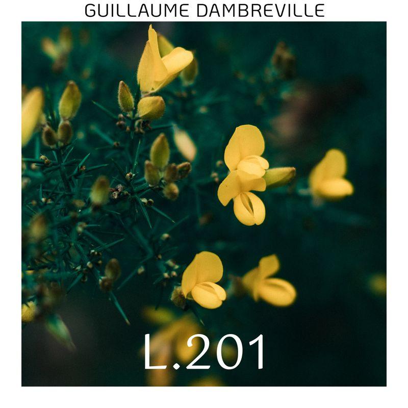 release-cover